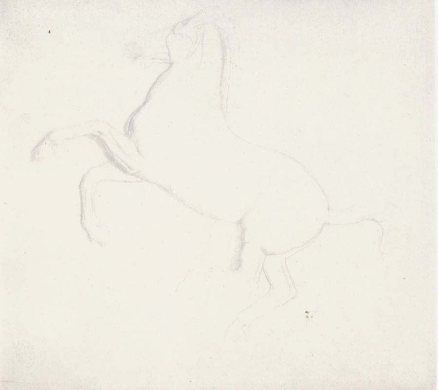 Study of a Horse from the Parthenon Frieze
